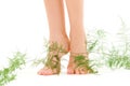 Female legs with green plant Royalty Free Stock Photo