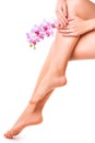 Female legs and hand with orchid flower. isolated Royalty Free Stock Photo