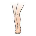 Female legs icon, elegant attractive and slim body part