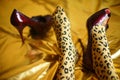 Female legs in leopard tights. One leg in red patent leather heel. Other heel on gold vinyl Royalty Free Stock Photo