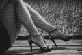 Female legs in net stockings Royalty Free Stock Photo