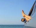 Female legs out of a car window on a background of a sea landscape. Royalty Free Stock Photo