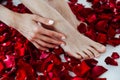 beautiful female legs in the petals of red rose flowers