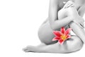 Female legs with pink lily Royalty Free Stock Photo