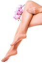 Female legs and pink manicure with orchid flower Royalty Free Stock Photo