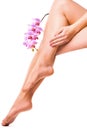 Female legs and pink manicure with orchid flower Royalty Free Stock Photo