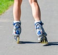 Female legs in roller blades Royalty Free Stock Photo