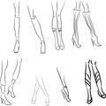 Female legs set. Sexually young femininity logotype, outline attractive