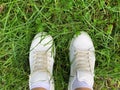 Female legs in whote leather sneakers standing on a grass in park, walking concept Royalty Free Stock Photo