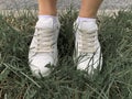 Female legs in whote leather sneakers standing on a grass in park, walking concept Royalty Free Stock Photo