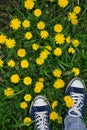 Female legs in youth sports shoes on green grass among yellow dandelions