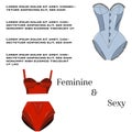 Female lingerie corset red vs blue collection