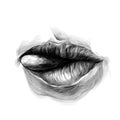 Women`s lips