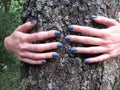 Young female hands embracing a tree Royalty Free Stock Photo