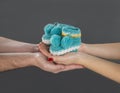 Female and male hands hold baby booties. Royalty Free Stock Photo