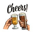 Female and male hands holding and clinking with two glasses beer Royalty Free Stock Photo