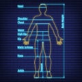 Female, male neon glow size chart anatomy human, people dummy front view side body silhouette isolated on wall background flat