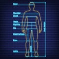 Female, male neon glow size chart anatomy human, people dummy front view side body silhouette isolated on wall background flat