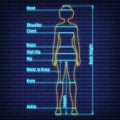 Female, male neon glow size chart anatomy human, people dummy front view side body silhouette isolated on wall background flat