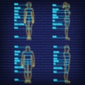 Female, male neon glow size chart anatomy human, people dummy front view side body silhouette isolated on wall background flat Royalty Free Stock Photo