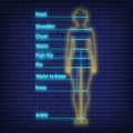 Female, male neon glow size chart anatomy human, people dummy front view side body silhouette isolated on wall background flat Royalty Free Stock Photo