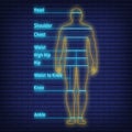 Female, male neon glow size chart anatomy human, people dummy front view side body silhouette isolated on wall background flat Royalty Free Stock Photo