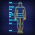 Female, male neon glow size chart anatomy human, people dummy front view side body silhouette isolated on wall background flat