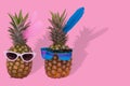 Female and male pineapple hipster in sunglasses, stylish fruit couple, Minimal concept Royalty Free Stock Photo