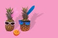 Female and male pineapple hipster in sunglasses, stylish fruit couple, Minimal concept Royalty Free Stock Photo