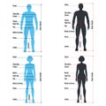 Female and male size chart anatomy human character, people dummy front and view side body silhouette, isolated on white, flat