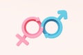 Female male symbol sex gender infinity concept. husband and wife boy girl pink and blue. lover married couple sexual intercourse Royalty Free Stock Photo
