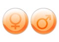 Female and male symbols Royalty Free Stock Photo