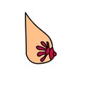 Female mammary gland doodle icon, vector illustration