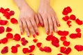 Female manicured hands surrounded with petals. Royalty Free Stock Photo