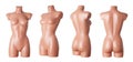 Female mannequin body | Studio isolated Royalty Free Stock Photo