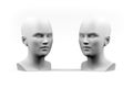 Female mannequin head isolated on a white background Royalty Free Stock Photo