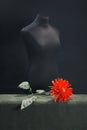 Female mannequin with a large dahlia flower on the table