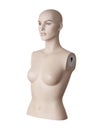 Female mannequin torso | Studio isolated Royalty Free Stock Photo