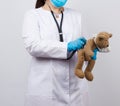 Female medic holds brown teddy bear with paw bandaged in white bandage and listens to toy with stethoscope Royalty Free Stock Photo