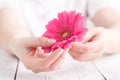 Female medical care concept, pink flower gerbera in hand Royalty Free Stock Photo