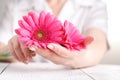 Female medical care concept, pink flower gerbera in hand Royalty Free Stock Photo