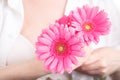 Female medical care concept, pink flower gerbera in hand Royalty Free Stock Photo