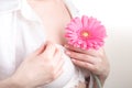 Female medical care concept, pink flower gerbera in hand Royalty Free Stock Photo