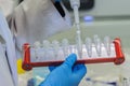 Hand of a scientist holding a sample in the laboratory. Laboratory Research Concept. Royalty Free Stock Photo