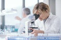 Medical researcher working in the lab Royalty Free Stock Photo