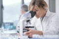 Medical researcher working in the lab Royalty Free Stock Photo