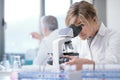 Medical researcher working in the lab Royalty Free Stock Photo