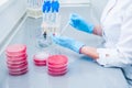 Female medical or scientific laboratory researcher performs tests. Close up, selective focus Royalty Free Stock Photo