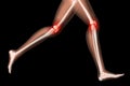 Female medical skeleton legs in running pose