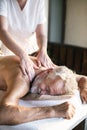 Female message therapist giving a massage at a spa